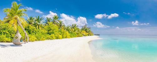 Tranquil beach panorama. Exotic tropical beach panorama for background or wallpaper. Amazing summer landscape, calm sea water and palm trees under blue sky and white sand. Vacation and holiday concept photo