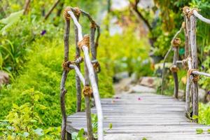 Walkway in a wild tropical forest, wooden bridge and blurred nature background photo