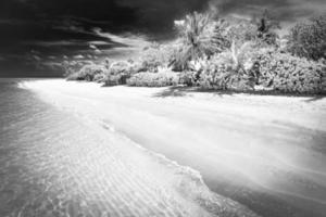 Black and white beach landscape. Tropical scenery of wonderful beach, soft sand and waves with palm trees and dark sky. Vacation and holiday dramatic background concept photo