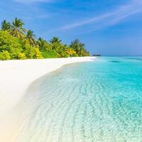 Tranquil beach scenery. Exotic tropical beach panorama for background or wallpaper. Amazing summer landscape, calm sea water and palm trees under blue sky and white sand. Vacation and holiday concept photo