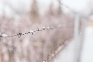Second world war concept, barbed wire fence against cold winter background. A barbed wire on the fence of the fenced territory. Camp or jail during war, fence abstract background concept