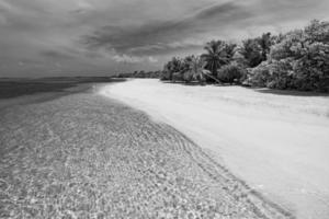 Black and white beach landscape. Tropical scenery of wonderful beach, soft sand and waves with palm trees and dark sky. Vacation and holiday dramatic background concept photo