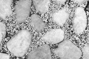 White stone cobble road with grass growing between cobbles, black and white process photo