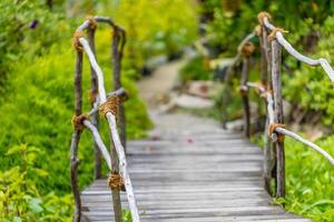 Walkway in a wild tropical forest, wooden bridge and blurred nature background photo