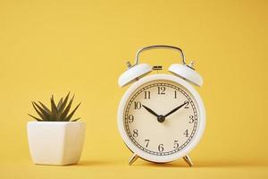 white retro alarm clock and house plant on the yellow background photo