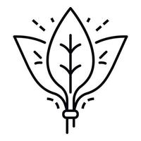 Spinach leaf branch icon, outline style vector