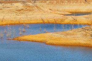 Low levels of water in the reservoir. Dry climate. Shortage of water. Dead trees. Climate change and global warming. There is no planet B. Urgent action to save the world. Environment. photo