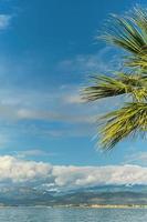 Vertical frame, focus on palm leaves. Winter afternoon view of the island of Makri and the bay from the embankment of the city, the Aegean Sea. Background idea photo