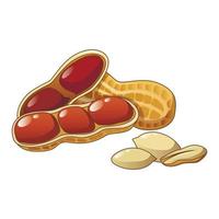 Peanut icon, cartoon style vector