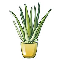 Aloe vera pot icon, cartoon style vector
