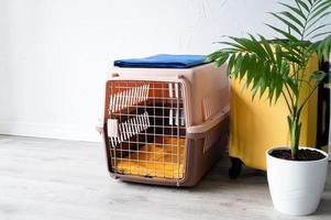 plastic pet carrier or pet cage with yellow travel case on the floor at home, pet corner plastic pet carrier or pet cage with yellow travel case on the floor at home, pet corner photo