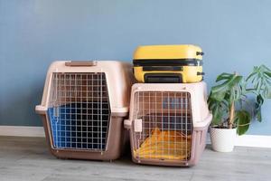 Plastic pet carrier or pet cage and yellow suitcase on the floor at home, copy space photo