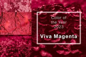 Viva Magenta - color of the year 2023. Trendy color sample. Beautiful collage with toned textures and surfaces. photo