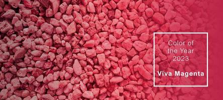 Viva Magenta - color of the year 2023. Trendy color sample. Toned picture with text. photo