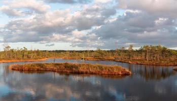 día de otoño en el lago pantanoso foto