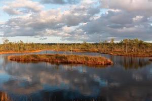 Autumn Day at the Swamp Lake photo