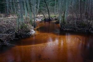 Small Forest River photo