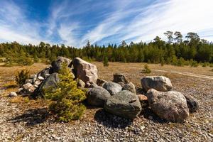 Spring Landscapes on The Island of Hiiumaa photo