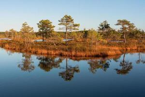 Autumn Day at the Swamp Lake photo