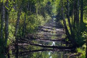Landscapes From the Latvian Countryside in Spring photo