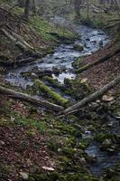 Small Forest River in Early Springtime photo