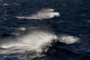 Waves in the Mediterranean Sea photo