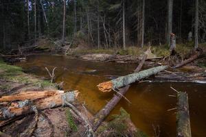 Small Forest River in Early Springtime photo