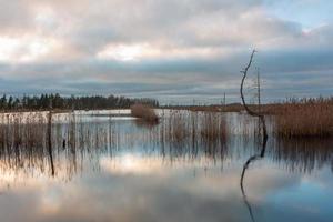 día de otoño en el lago pantanoso foto