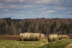 Spring Landscapes With Clouds photo