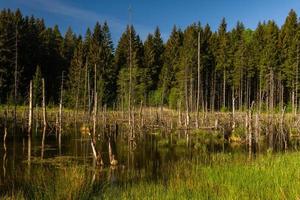 Landscapes From the Latvian Countryside in Spring photo