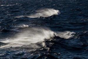 Waves in the Mediterranean Sea photo