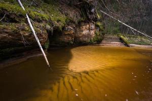 Small Forest River in Early Springtime photo