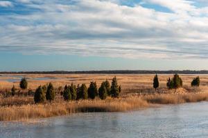 Autumn Day at the Swamp Lake photo