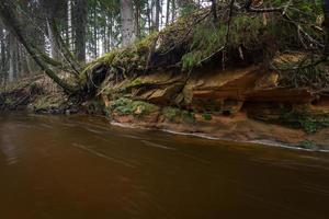 pequeño río forestal a principios de la primavera foto