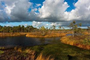 Autumn Day at the Swamp Lake photo