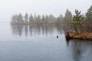 día de otoño en el lago pantanoso foto