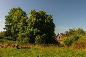 Landscapes From the Latvian Countryside in Spring photo