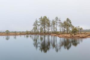 Autumn Day at the Swamp Lake photo