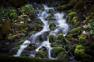 pequeño río forestal a principios de la primavera foto