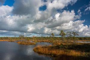 Autumn Day at the Swamp Lake photo