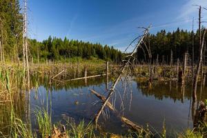 Landscapes From the Latvian Countryside in Spring photo
