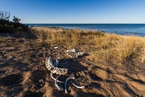 Spring Landscapes on The Island of Hiiumaa photo