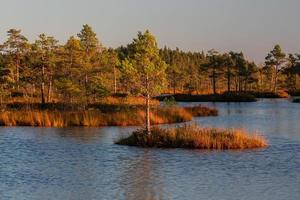 Autumn Day at the Swamp Lake photo