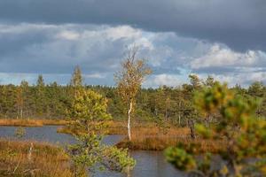 Autumn Day at the Swamp Lake photo