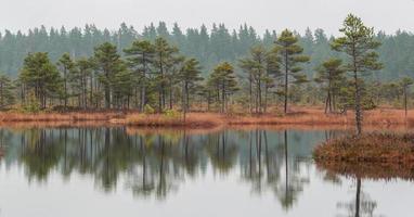 día de otoño en el lago pantanoso foto