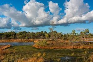 Autumn Day at the Swamp Lake photo