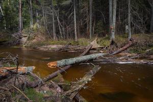 Small Forest River in Early Springtime photo