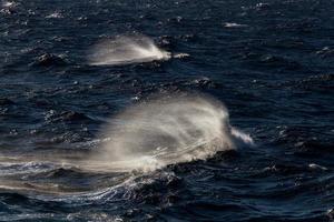 Waves in the Mediterranean Sea photo