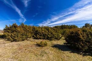 Spring Views From Hiiumaa Island photo