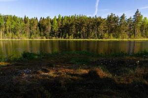 Landscapes From the Latvian Countryside in Spring photo